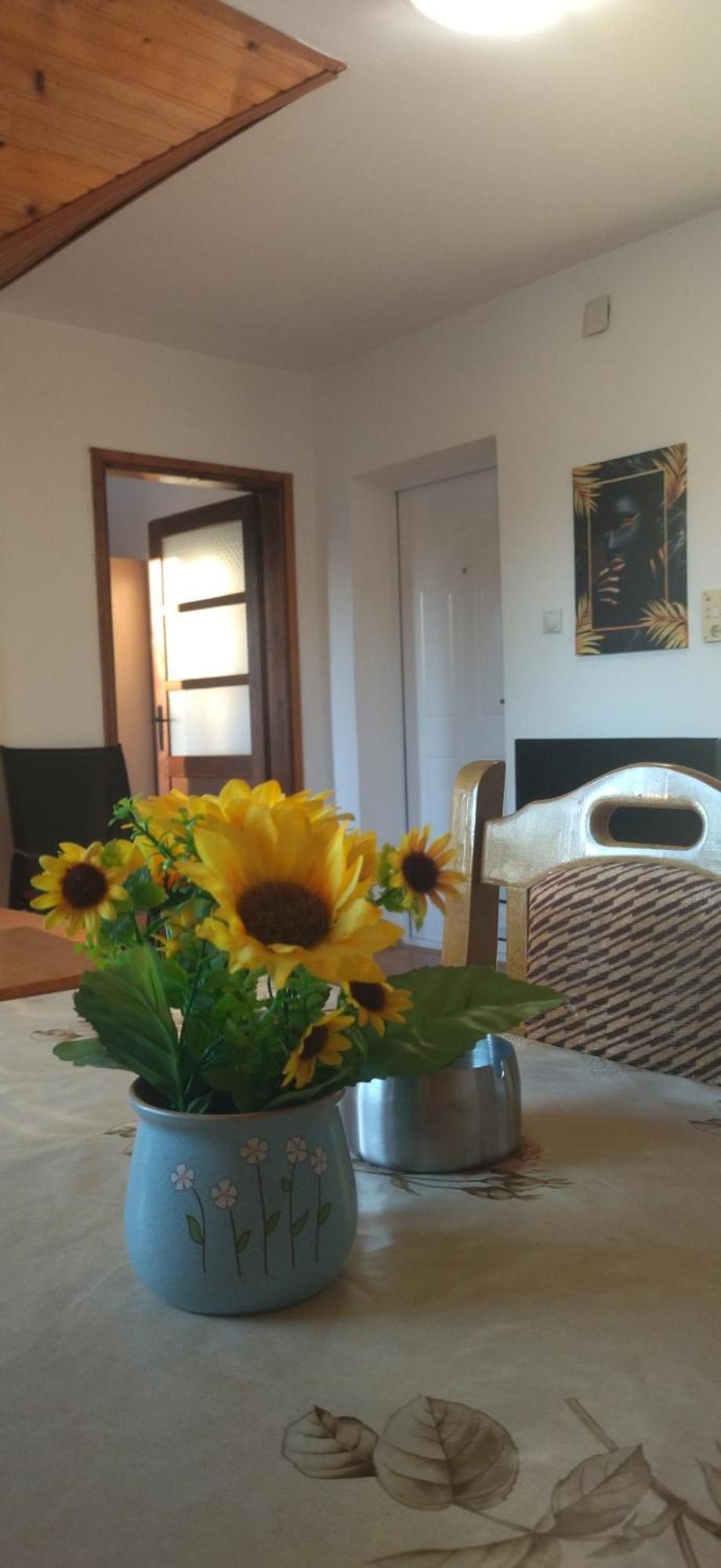 Vila Lenka Sokobanja Room photo